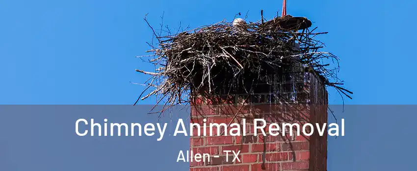 Chimney Animal Removal Allen - TX