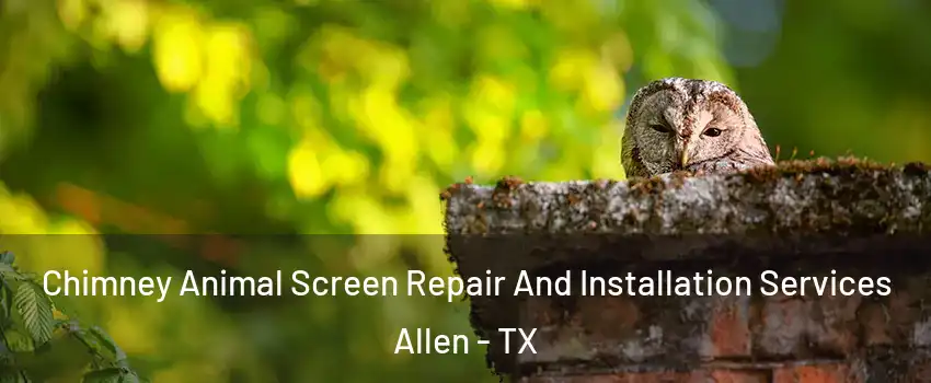  Chimney Animal Screen Repair And Installation Services Allen - TX