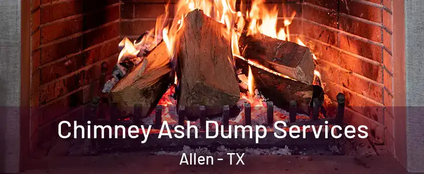  Chimney Ash Dump Services Allen - TX