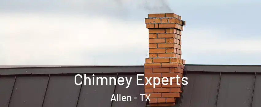  Chimney Experts Allen - TX