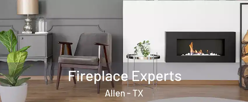  Fireplace Experts Allen - TX