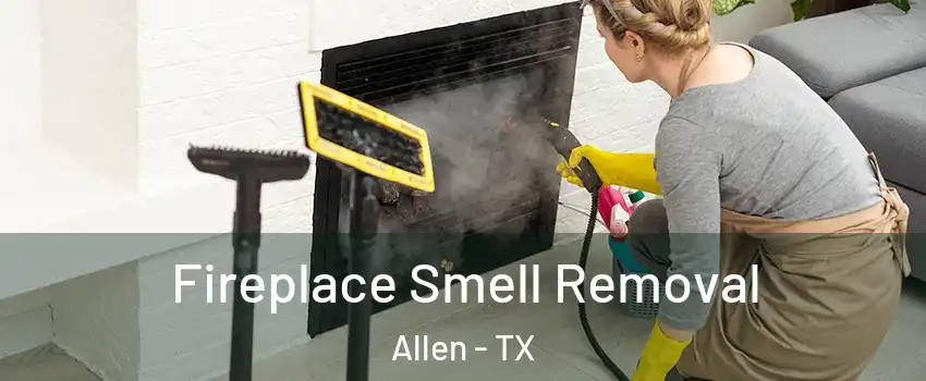  Fireplace Smell Removal Allen - TX