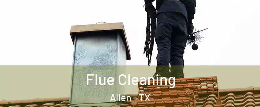  Flue Cleaning Allen - TX