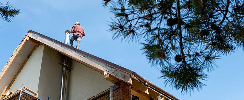 Birds Removal Contractors from Chimney in Allen, TX