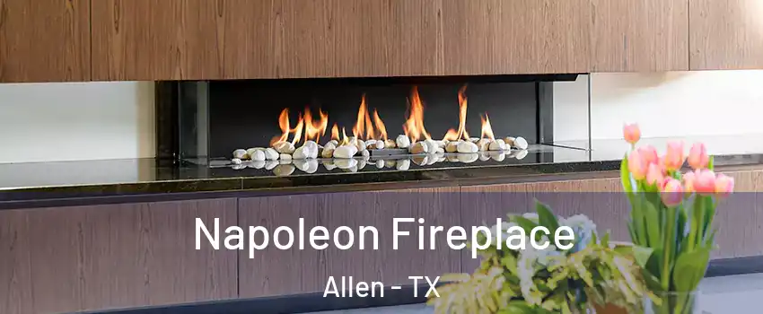  Napoleon Fireplace Allen - TX
