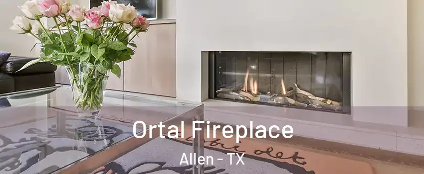  Ortal Fireplace Allen - TX
